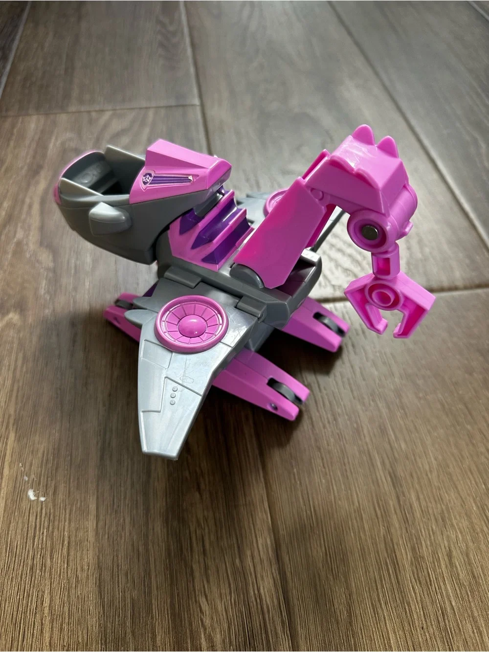 Paw Patrol hard find